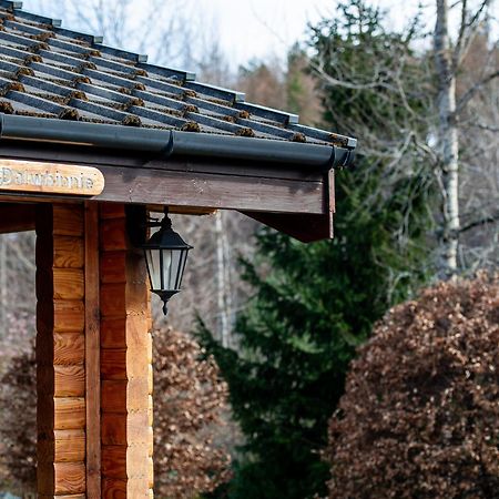 Loch Insh Chalets Ltd Kincraig Exteriör bild