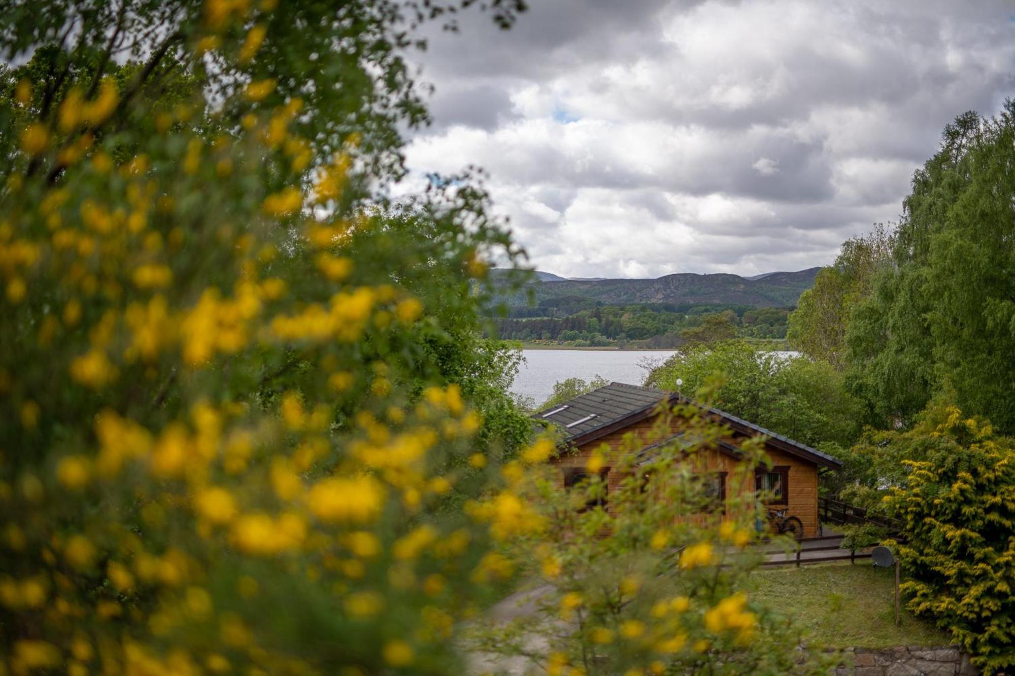 Loch Insh Chalets Ltd Kincraig Exteriör bild